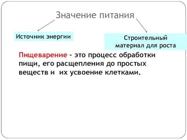 Значение питания Пищеварение – это процесс обработки пищи, его расщепления до простых