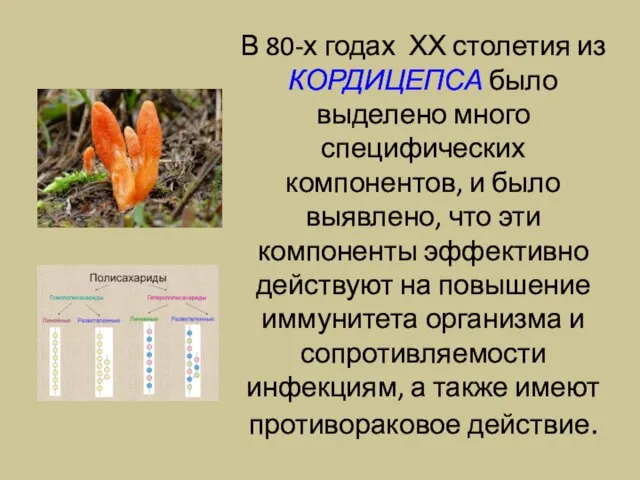 В 80-х годах ХХ столетия из КОРДИЦЕПСА было выделено много специфических компонентов,