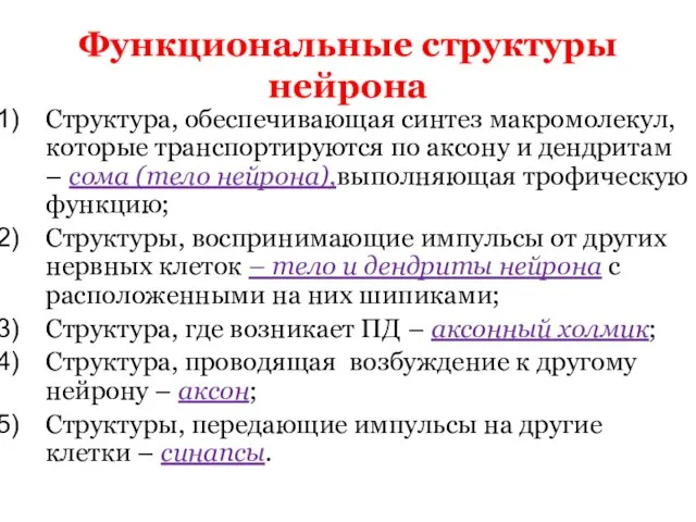 Функциональные структуры нейрона Структура, обеспечивающая синтез макромолекул, которые транспортируются по аксону и