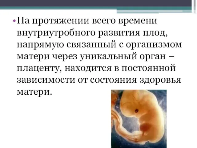 На протяжении всего времени внутриутробного развития плод, напрямую связанный с организмом матери