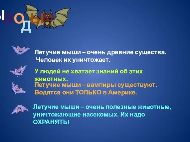 Летучие мыши – очень древние существа. Человек их уничтожает. У людей не