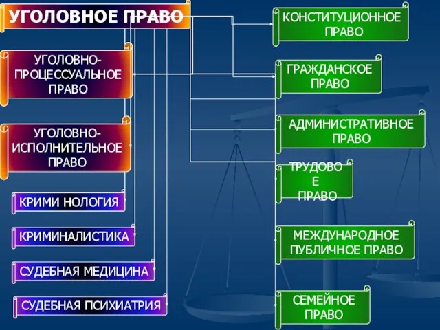 КОНСТИТУЦИОННОЕ ПРАВО ГРАЖДАНСКОЕ ПРАВО АДМИНИСТРАТИВНОЕ ПРАВО ТРУДОВОЕ ПРАВО МЕЖДУНАРОДНОЕ ПУБЛИЧНОЕ ПРАВО СЕМЕЙНОЕ