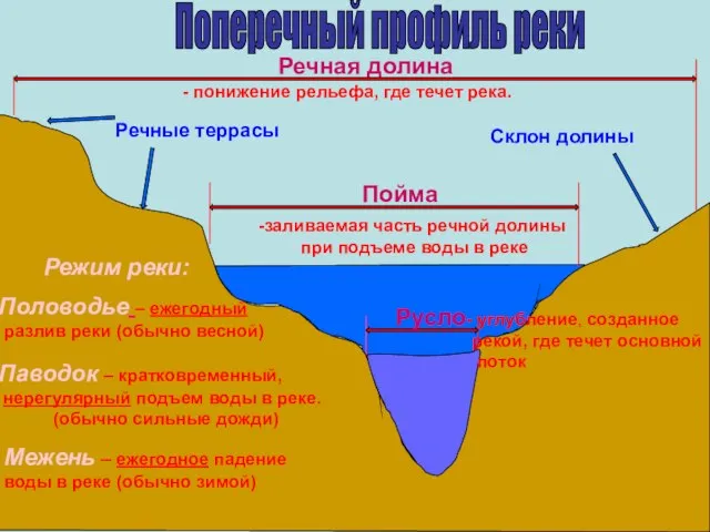 Русло Пойма Поперечный профиль реки Речная долина Речные террасы Склон долины заливаемая