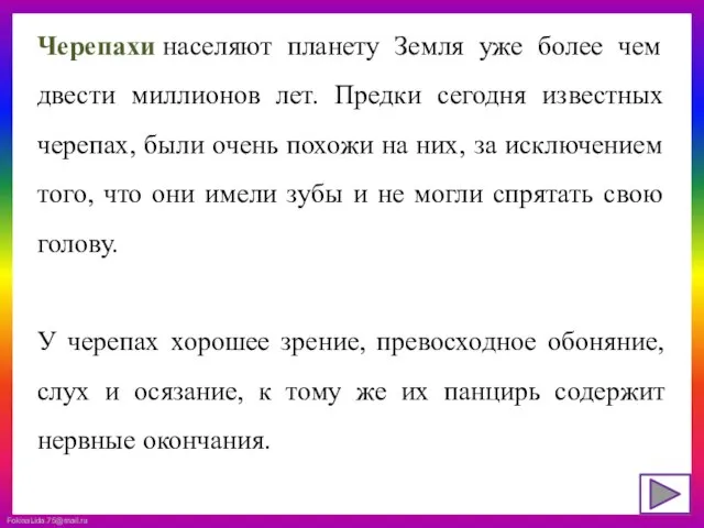 Черепахи населяют планету Земля уже более чем двести миллионов лет. Предки сегодня