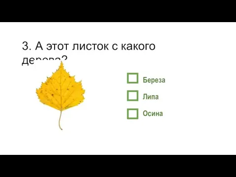 3. А этот листок с какого дерева? Береза Липа Осина