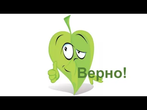 Верно!