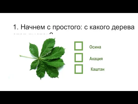 1. Начнем с простого: с какого дерева этот листок? Акация Осина Каштан