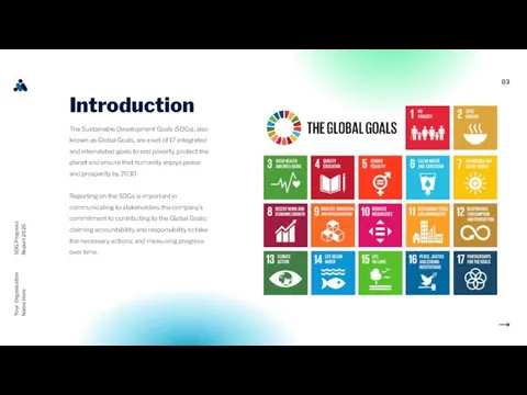 03 Your Organization Name Here SDG Progress Report 2025