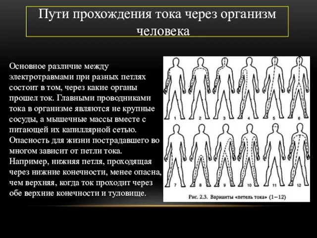 Пути прохождения тока через организм человека Основное различие между электротравмами при разных