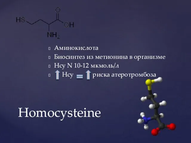 Аминокислота Биосинтез из метионина в организме Hcy N 10-12 мкмоль/л Hcy риска атеротромбоза Homocysteine