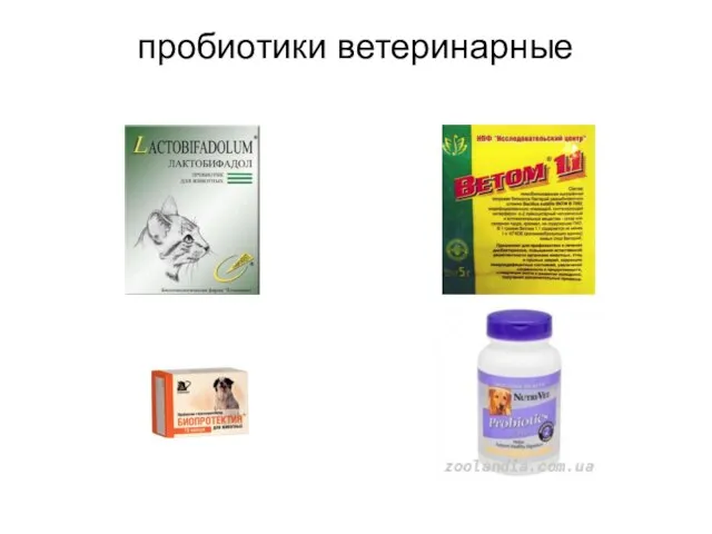 пробиотики ветеринарные