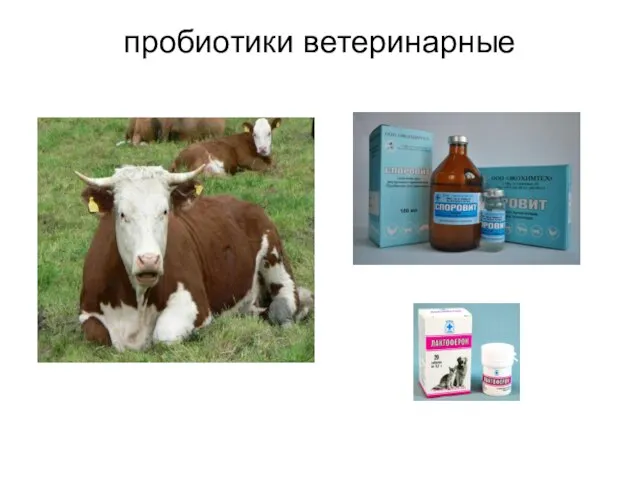 пробиотики ветеринарные