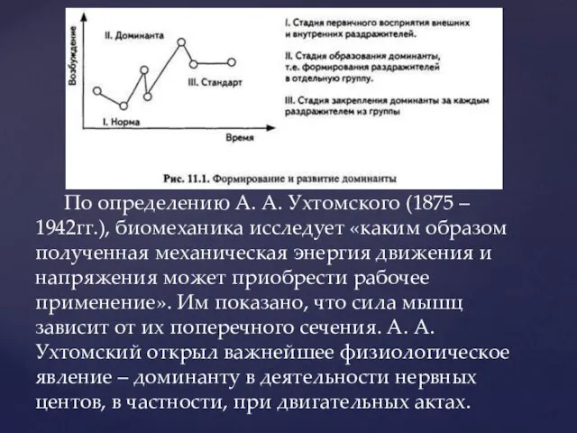 По определению А. А. Ухтомского (1875 – 1942гг.), биомеханика исследует «каким образом