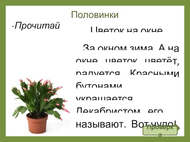 Половинки Цветок на окне За окном зима. А на окне цветок цветёт,