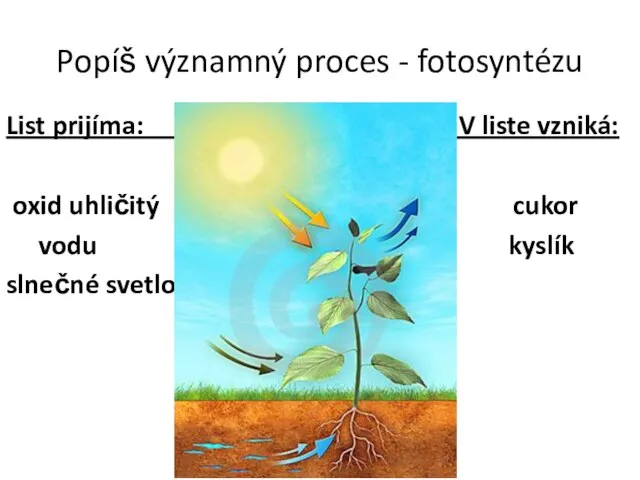 Popíš významný proces - fotosyntézu List prijíma: V liste vzniká: oxid uhličitý
