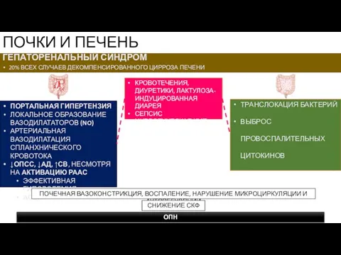 ГЕПАТОРЕНАЛЬНЫЙ СИНДРОМ 20% ВСЕХ СЛУЧАЕВ ДЕКОМПЕНСИРОВАННОГО ЦИРРОЗА ПЕЧЕНИ ПОЧКИ И ПЕЧЕНЬ ПОРТАЛЬНАЯ