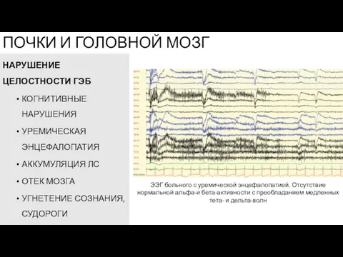 НАРУШЕНИЕ ЦЕЛОСТНОСТИ ГЭБ КОГНИТИВНЫЕ НАРУШЕНИЯ УРЕМИЧЕСКАЯ ЭНЦЕФАЛОПАТИЯ АККУМУЛЯЦИЯ ЛС ОТЕК МОЗГА УГНЕТЕНИЕ