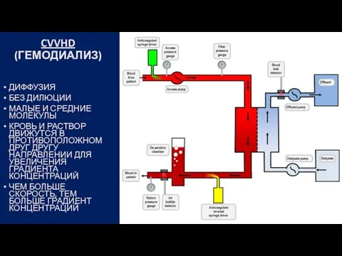 CVVHD (ГЕМОДИАЛИЗ) ДИФФУЗИЯ БЕЗ ДИЛЮЦИИ МАЛЫЕ И СРЕДНИЕ МОЛЕКУЛЫ КРОВЬ И РАСТВОР
