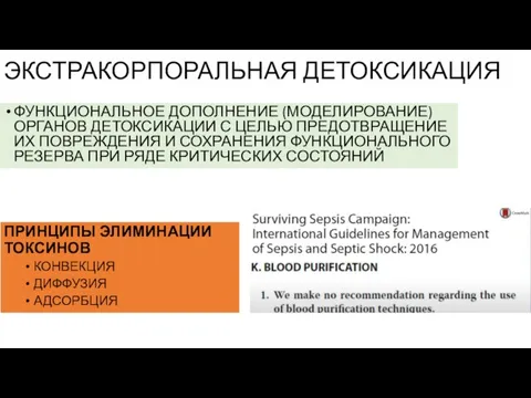 ЭКСТРАКОРПОРАЛЬНАЯ ДЕТОКСИКАЦИЯ ФУНКЦИОНАЛЬНОЕ ДОПОЛНЕНИЕ (МОДЕЛИРОВАНИЕ) ОРГАНОВ ДЕТОКСИКАЦИИ С ЦЕЛЬЮ ПРЕДОТВРАЩЕНИЕ ИХ ПОВРЕЖДЕНИЯ