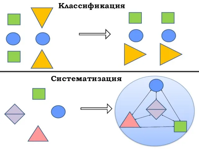 Классификация Систематизация