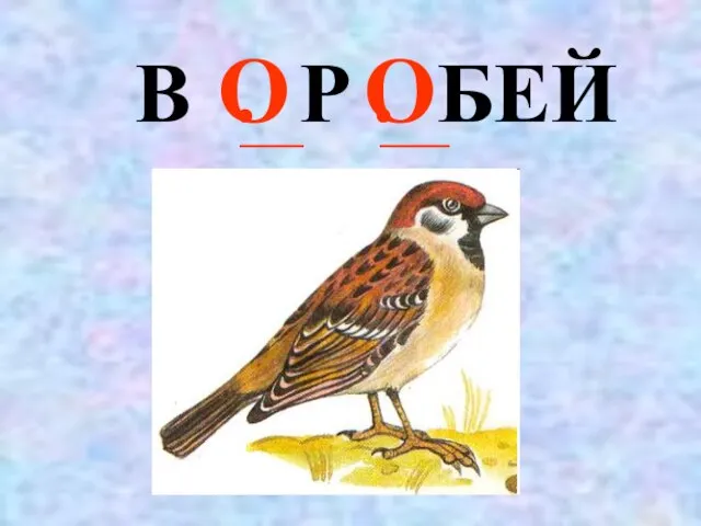 В . Р . БЕЙ О О