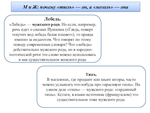 М и Ж: почему «тюль» — он, а «мозоль» — она Лебедь.