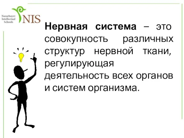 Нервная система – это совокупность различных структур нервной ткани, регулирующая деятельность всех органов и систем организма.