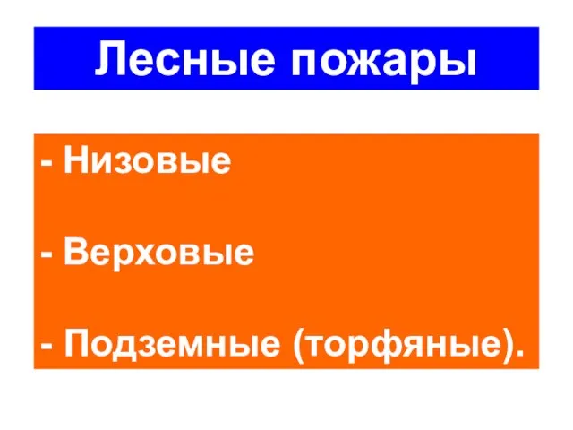 Лесные пожары - Низовые - Верховые - Подземные (торфяные).