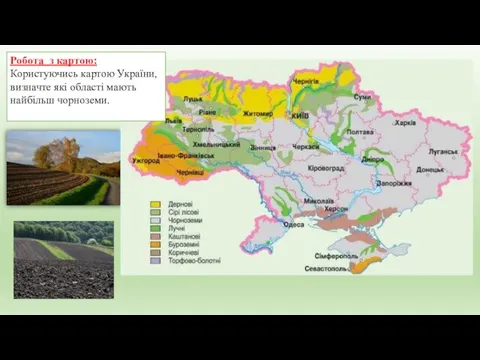 Робота з картою: Користуючись картою України, визначте які області мають найбільш чорноземи.