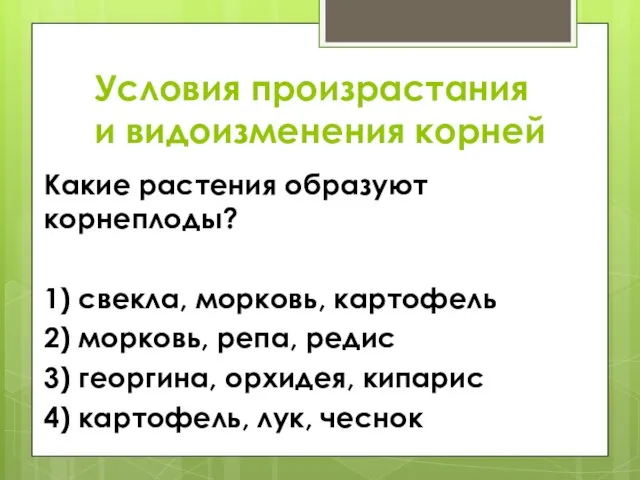 Условия произрастания и видоизменения корней Какие растения образуют корнеплоды? 1) свекла, морковь,