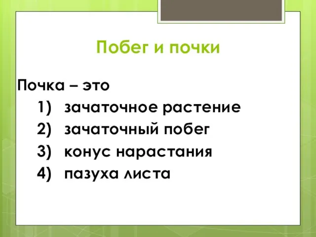 Побег и почки Почка – это 1) зачаточное растение 2) зачаточный побег