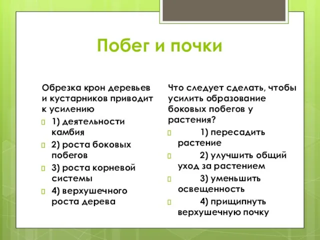 Побег и почки Обрезка крон деревьев и кустарников приводит к усилению 1)