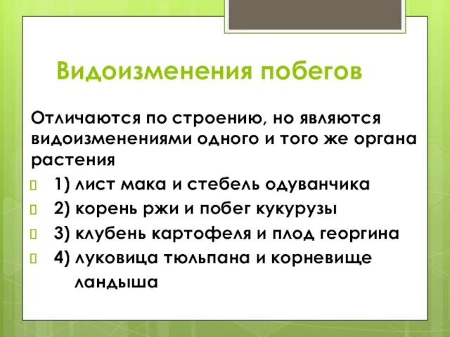 Видоизменения побегов Отличаются по строению, но являются видоизменениями одного и того же