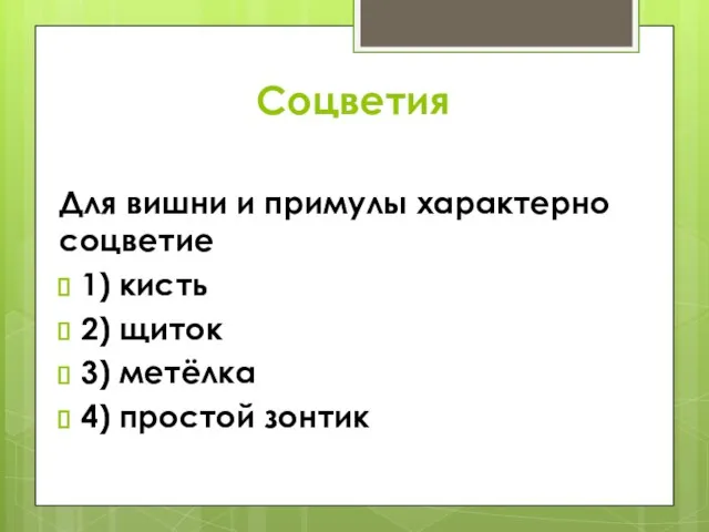 Соцветия Для вишни и примулы характерно соцветие 1) кисть 2) щиток 3) метёлка 4) простой зонтик