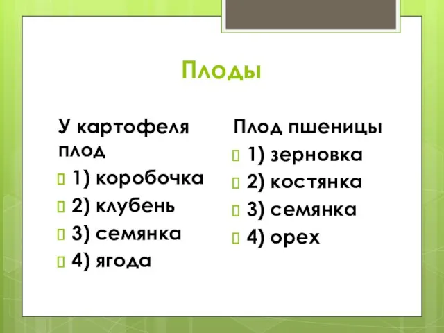 Плоды У картофеля плод 1) коробочка 2) клубень 3) семянка 4) ягода