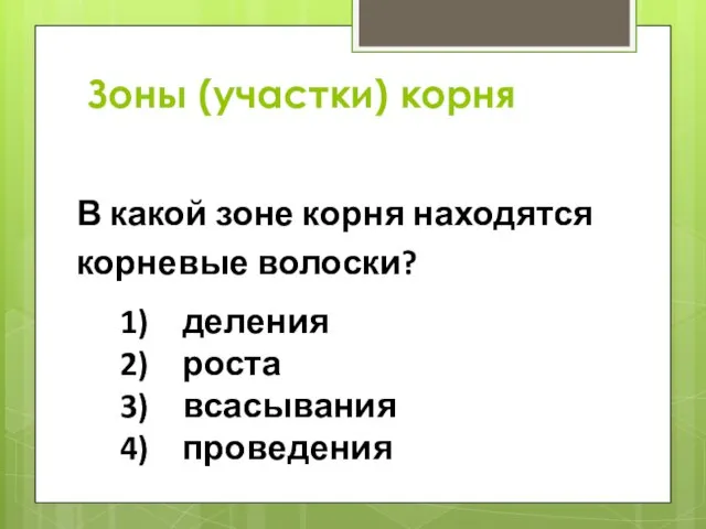 Зоны (участки) корня В какой зоне корня находятся корневые волоски? 1) деления