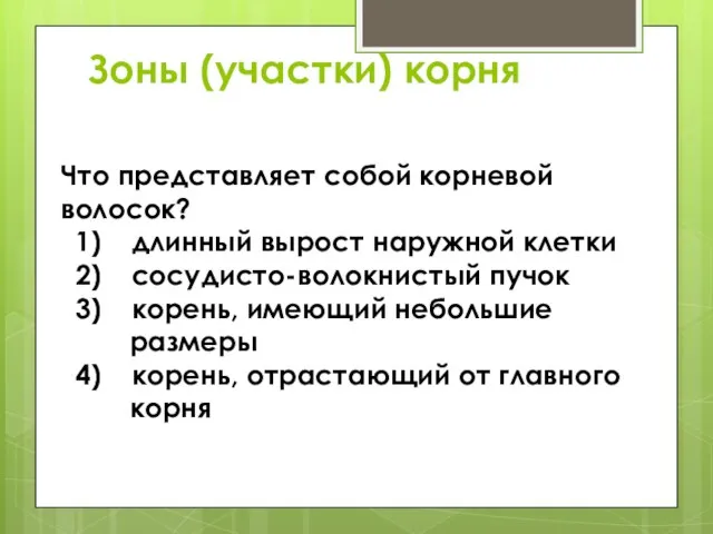 Зоны (участки) корня Что представляет собой корневой волосок? 1) длинный вырост наружной