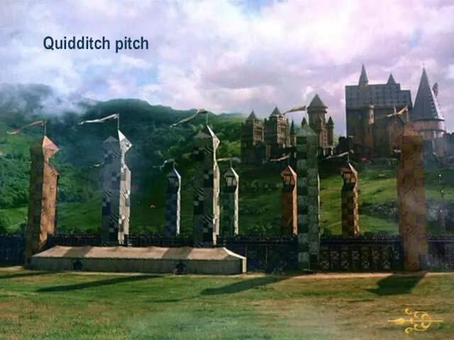 Quidditch pitch