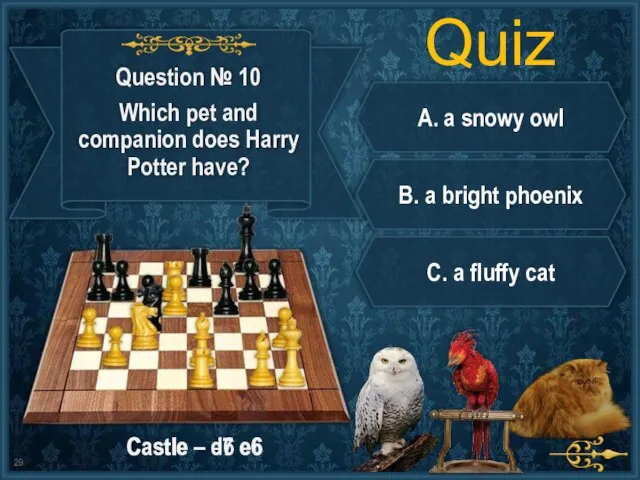 Quiz A. a snowy owl B. a bright phoenix C. a fluffy