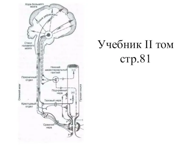 Учебник II том стр.81