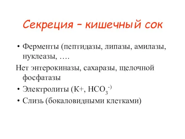 Секреция – кишечный сок Ферменты (пептидазы, липазы, амилазы, нуклеазы, …. Нет энтерокиназы,