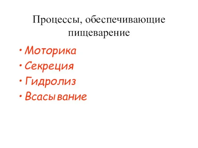 Процессы, обеспечивающие пищеварение Моторика Секреция Гидролиз Всасывание