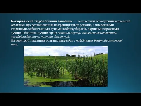 Бакирівський гідрологічний заказник — величезний обводнений заплавний комплекс, що розташований на границі