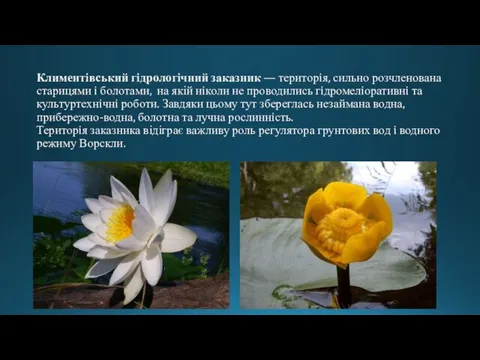 Климентівський гідрологічний заказник — територiя, сильно розчленована старицями i болотами, на якій