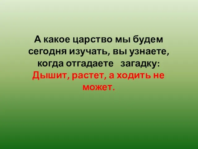 А какое царство мы будем сегодня изучать, вы узнаете, когда отгадаете загадку: