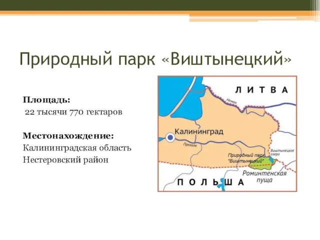 Природный парк «Виштынецкий» Площадь: 22 тысячи 770 гектаров Местонахождение: Калининградская область Нестеровский район