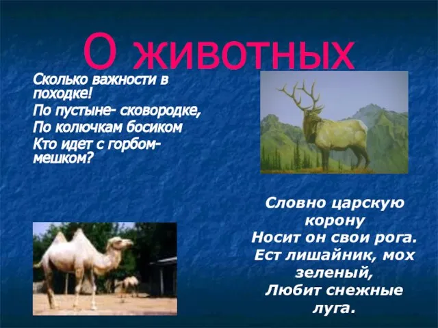 О животных Сколько важности в походке! По пустыне- сковородке, По колючкам босиком