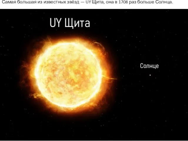 Самая большая из известных звёзд — UY Щита, она в 1708 раз больше Солнца.