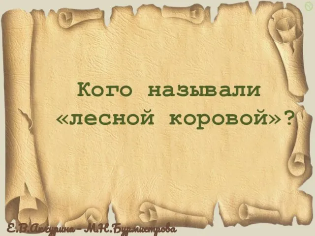 Кого называли «лесной коровой»?