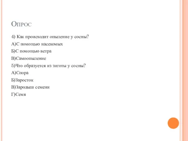 Опрос 4) Как происходит опыление у сосны? А)С помощью насекомых Б)С помощью